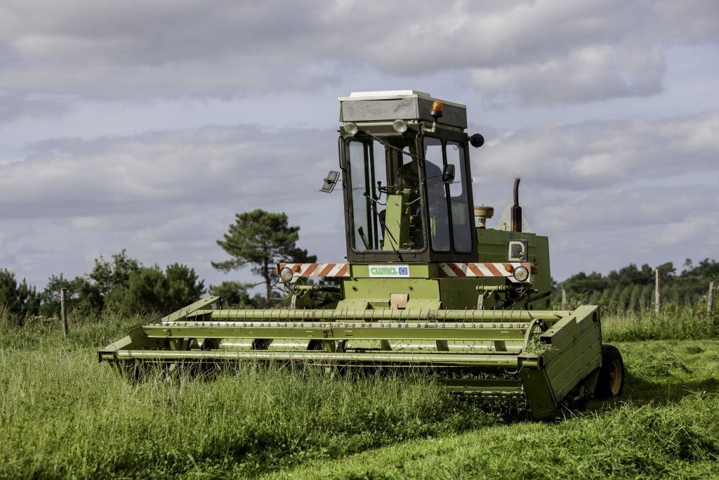Fauchage bio herbe vert ValyD photography