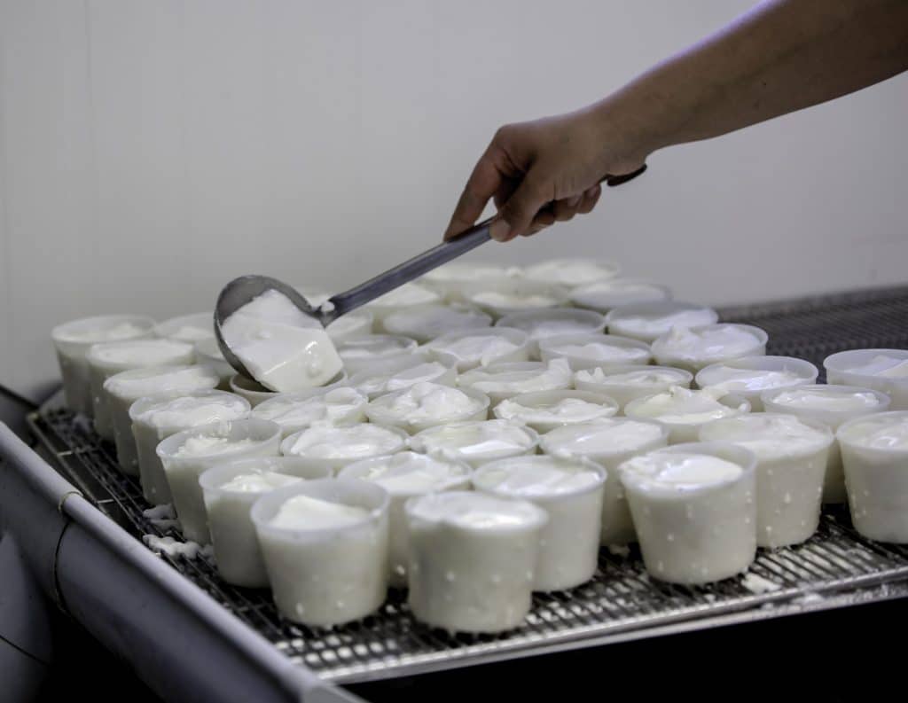 ferme chèvre bio yaourt fromage