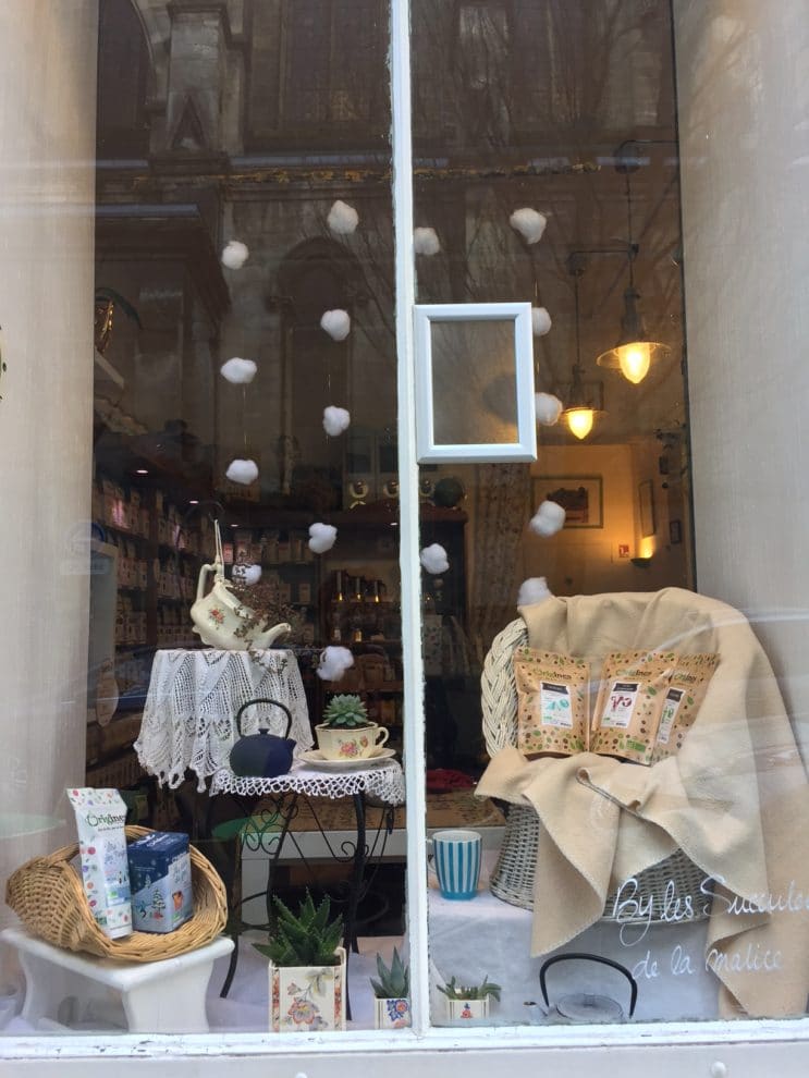 Thé, Café bio et plantes grasses dans de la jolie vaisselle chinée pour décorer la vitrine de chez Léa