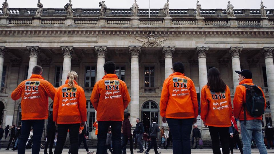 La cause animale à Bordeaux