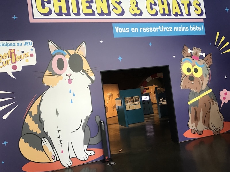 Chiens Chats L Expo Au Poil Dont Vous Ressortirez Moins Bete Serial Blogueuse Chiens Chats L Expo Au Poil Dont Vous Ressortirez Moins Bete Serial Blogueuse