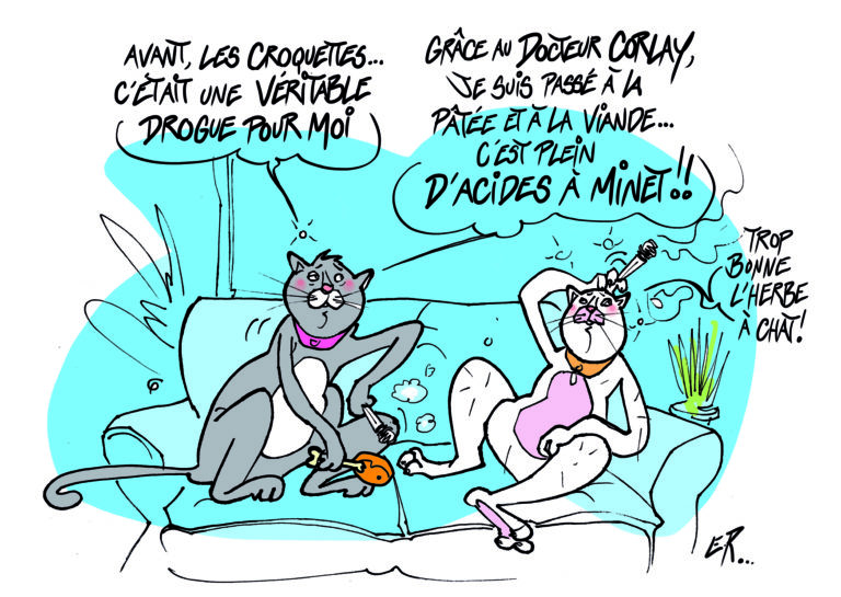 Illustration signée ERic Ronceray pour en finir aves les Croquettes pour chats