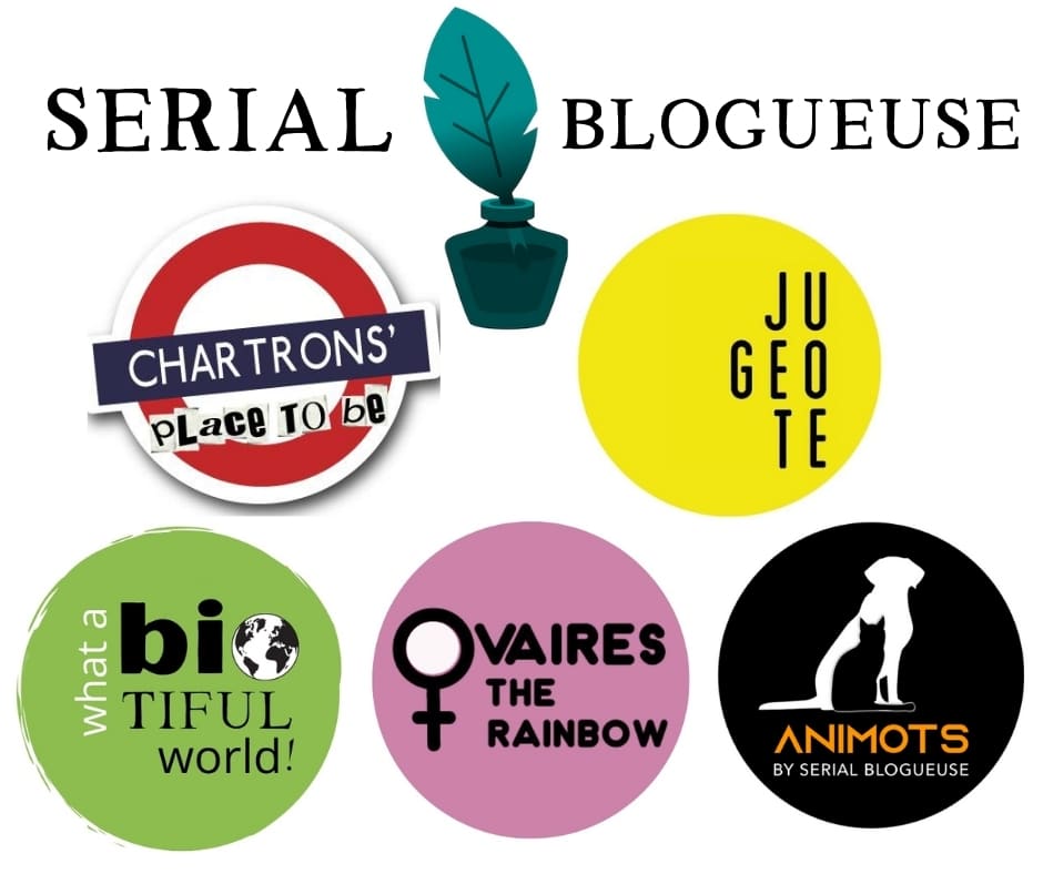 Ma pyramide des logos de Serial blogueuse