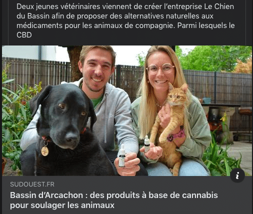 Du CBD pour les animaux