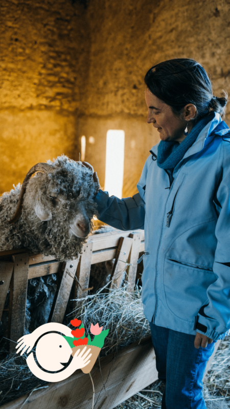 rencontre directement chez les producteurs
